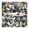 31 Kit de pesca